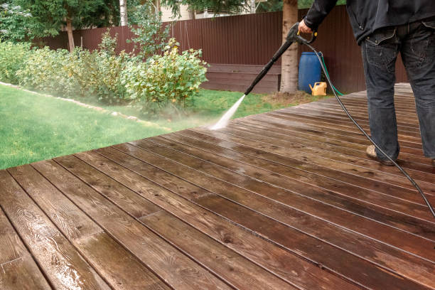 Best Solar Panel Cleaning  in Stone Park, IL