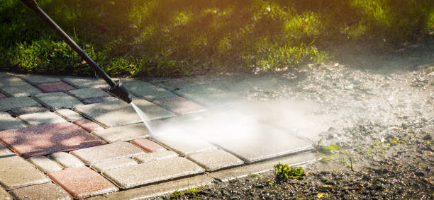 Best Building Exterior Washing  in Stone Park, IL