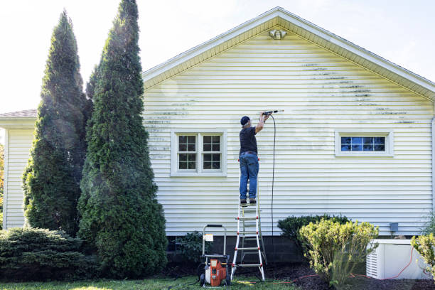 Best Patio and Deck Pressure Washing  in Stone Park, IL