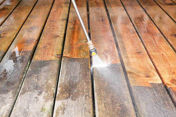 Best Animal Enclosure Cleaning  in Stone Park, IL